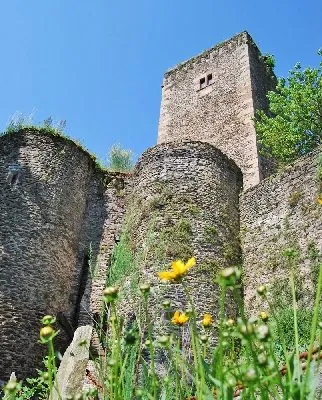 CHATEAU DE BELCASTEL, GALERIE D'ART - ANIMAZING MONDE D'ILLUSTRATION